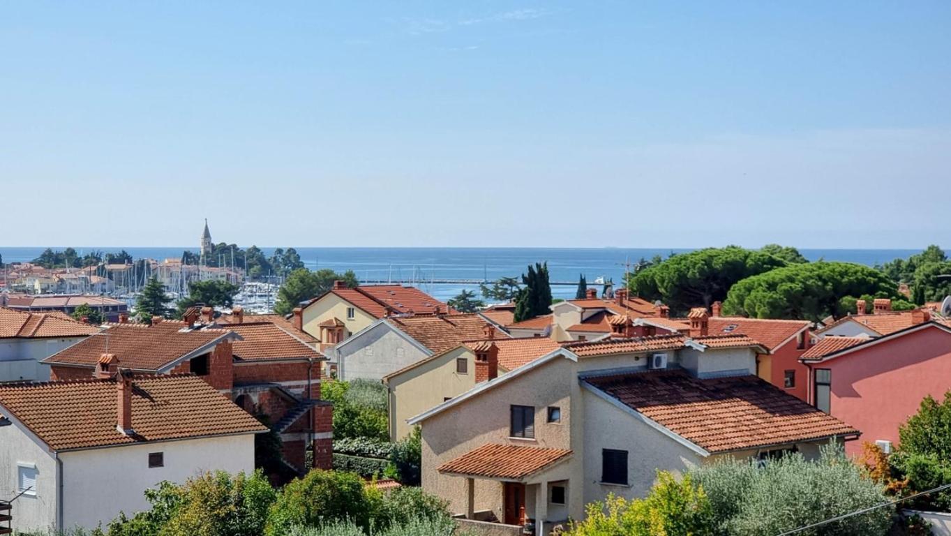 Marinela Studio Novigrad Istria 外观 照片